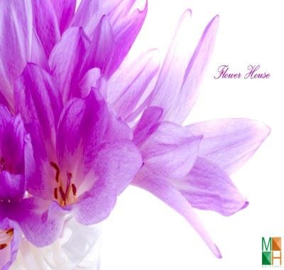 Tranh dán tường Hàn Quốc 3D hoa nghệ tây FW - 005