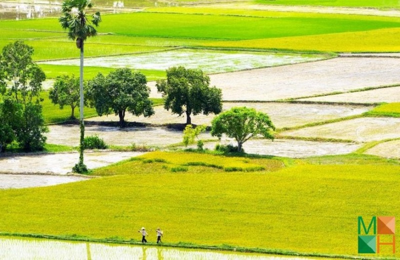  tranh dán tường phong cảnh thiên nhiên đẹp