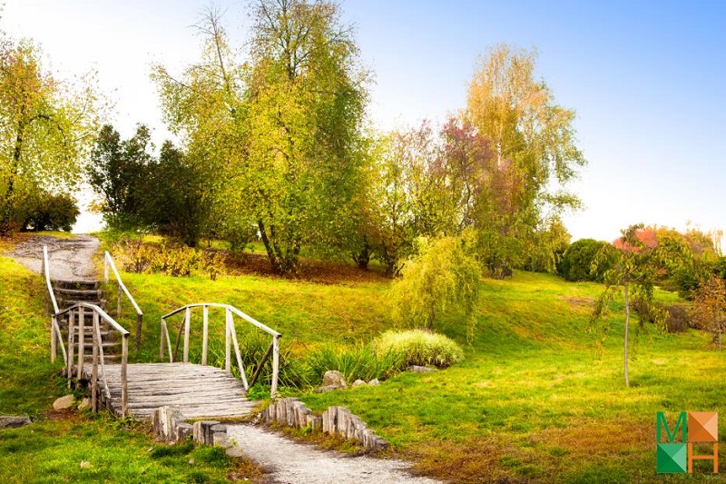  tranh dán tường phong cảnh thiên nhiên đẹp