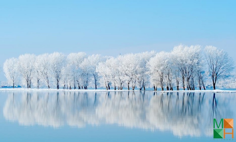  tranh dán tường phong cảnh thiên nhiên đẹp